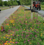 bloemenweides