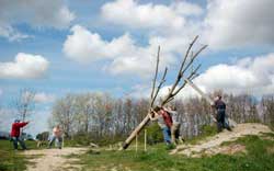 houtwijkerveld2