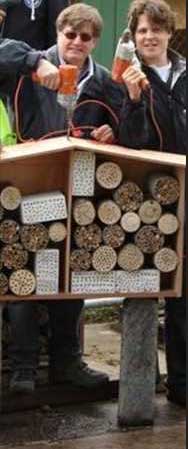insectenhotel