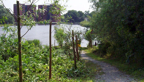 meermond1