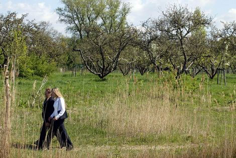 wandelbos3