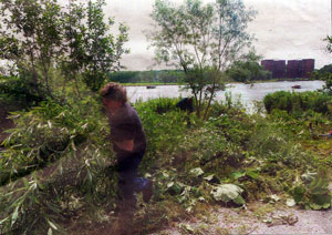 wilgjes kappen