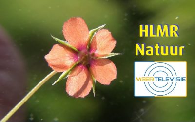 HLMR-natuur aflevering 1