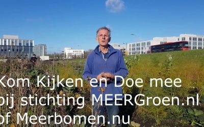 Vlog 55: De Meerbomen.nu  PR gaat los