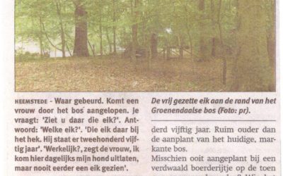 Heemsteeds Nieuwsblad: 22-9-2016: Eik ( weer ) in zicht