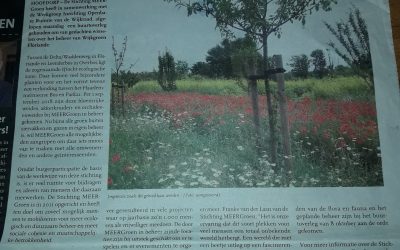 NH 10-10-2018 Buurtoverleg Wijkgroen Floriande