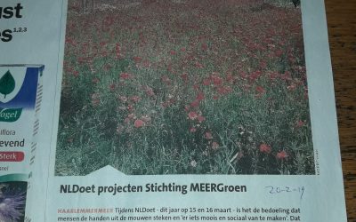 HC 20-2-2019 Nldoet projecten Stichting MEERGroen