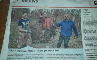 HC 18-3-2018 Jaarlijkse boomweggeefactie Meeer Groen gaatnog wel door