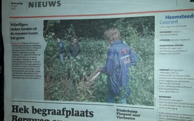 HC 19-7-2017 Vrijwlligers Steken handen uti de mouwen tussen het  Groen