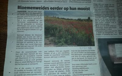 Heemsteder 10-6-2020  Bloemenweides eerder op hun mooist