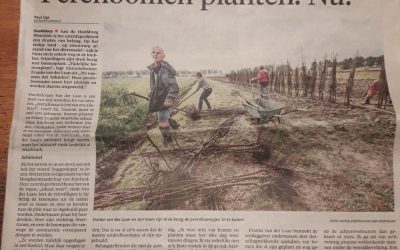 Haarlems Dagblad:  Perenbomenplanten.nu