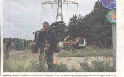 H’meer editie H’lems Dagblad: 28-6-2017: Rijplaten over zeldzame moeraswespenorchissen