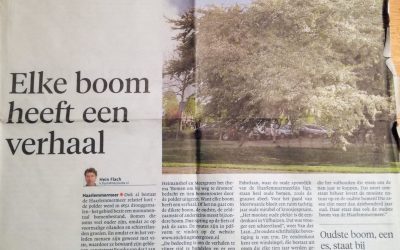 H’meer editie H’lems Dagblad: 30-4-2014: elke boom heeft een verhaal