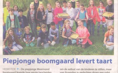 Heemsteedse Courant:28-2-2016: Piepjonge Boomgaard levert taart