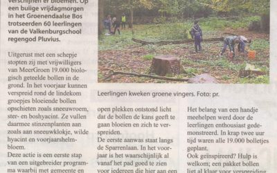 Heemsteedse Courant: 9-11-2016: Voorjaarstapijt door leerlingen aangeplante in wandelbos