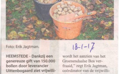 Heemsteedse Courant: 18-1-2017: Bollenplanters gezocht