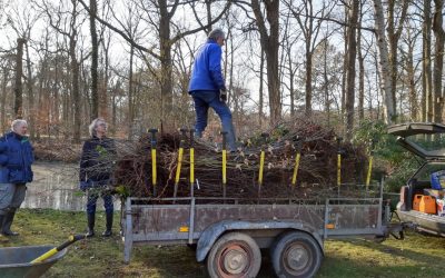 13 maart: Laatste gratis bomen beschikbaar. Reserveer je boom of struik!