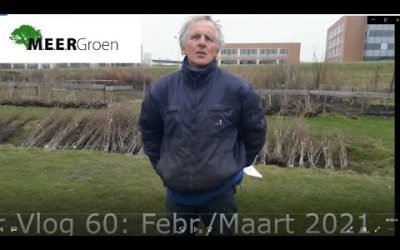 Vlog 60: Februari/maart 2021