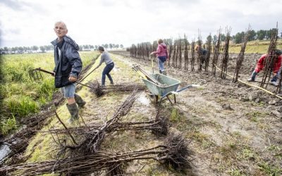 HD: Gefrutsel in de marge gaat te langzaam