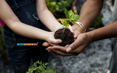 🌳Red Bomen, Red de Toekomst! Doe Mee! 🌿🌲🌳🌳