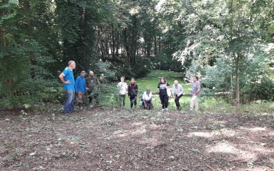 Blog: Maatschappelijke stages in Sorghbosch en Landgoed Mariënheuvel