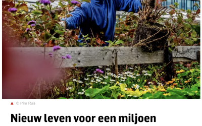 AD: Nieuw leven voor een miljoen bomen, gratis en voor niets