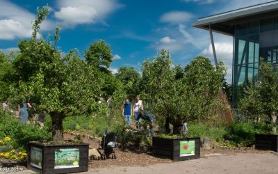 Vliegende Groene start van 2022 :Bomen redden op 11-1 Raadhuisplein en 15-1: Fruitpark Pabstlaan Hoofddorp