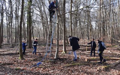 Heemstede natuurnieuws week 11: 2022:6-3: Stage