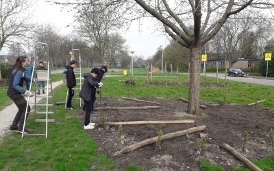 Heemstede natuurnieuws week 14: 2022:2-4: Stage Hageveld