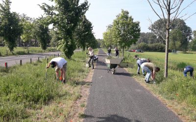 Blog 22 mei 2022: klaprozen explosie