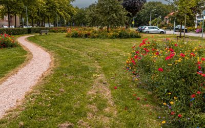 Genietdag fruitpark Pabstlaan, Hoofddorp, 25 juni  Een park idee voor iedere wijk?