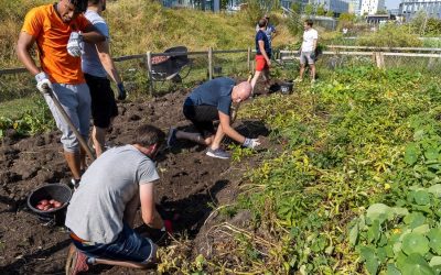 Blog 28 augustus:  Botsende werelden