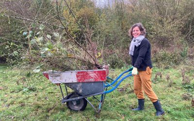 Natuurwerkdagen, Meerbomencampagne en Klimaatweek 31 okt – 6 nov