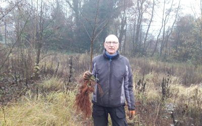 Blog 11 december: een aantal doorbraken en de miljoenste geredde boom!