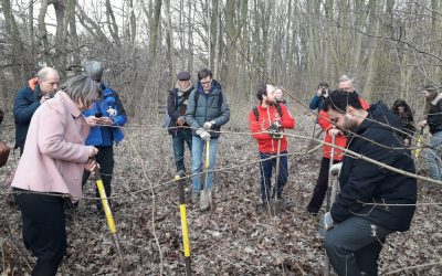 1e bomen reddingsactie van start morgen in Sassenheim, help mee! 🌳🌳🌳