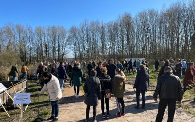 12, 15 en 18  maart: Gratis bomen voor iedereen: op inschrijving