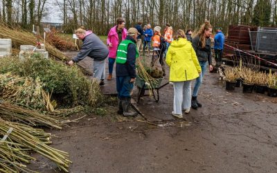 17 maart: Boomuitdeeldag Hoofddorp: op naar de 3 miljoenste