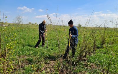 Persbericht: Ecologisch beheer komt op stoom in Teylingen