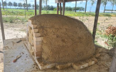 Blog 10 -16 juli: Zomertijd: wegwezen of genieten van wat de natuur te bieden heeft ?