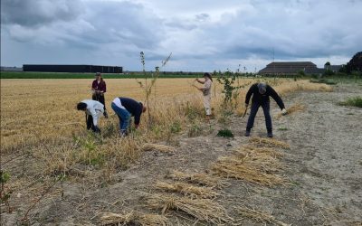 Blog 24-30 juli: Donatie verhuizing kas naar Lincolnpark