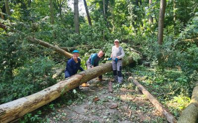 Blog 3 juli – 9 juli: De kracht van de natuur: meebewegen of er tegenin?