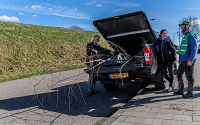 PERSBERICHT:   Zaterdag 16 december: Succesvolle boomuitgifte dag