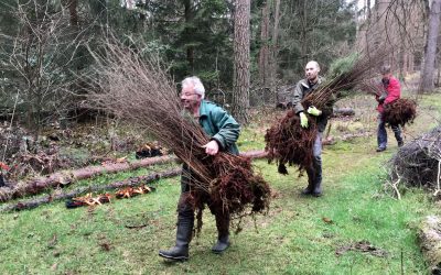 PERSBERICHT:   Zaterdag 16 december: Gratis bomen voor iedereen: op inschrijving