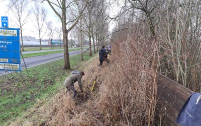 Blog 7 januari : Nieuw jaar nieuwe kansen