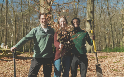 PERSBERICHT : Zaterdag 3 februari: Gratis bomen voor iedereen