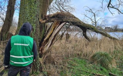 Heemstede natuurnieuws 25 februari: Lezen van het landschap