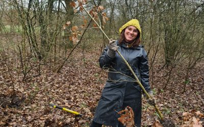 Blog 18 februari:  Volop boompjes oogsten in H’meer, Krommenie en Friesland