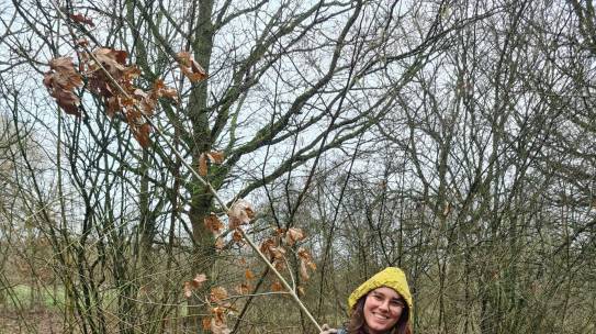 Blog 18 februari:  Volop boompjes oogsten in H’meer, Krommenie en Friesland