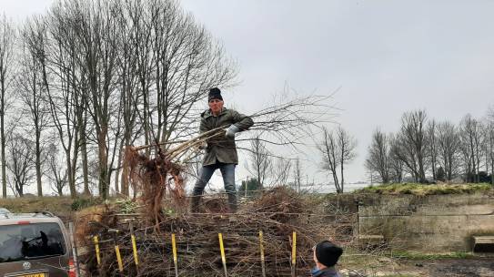 Blog 3 maart:  5500 bomen gered op Fort Kudelstaart