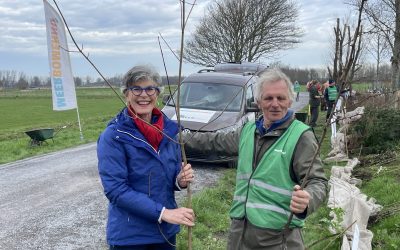 Persbericht: 3 maart succes 5000 bomen uitgedeeld aan 150 belangstellenden in Teylingen